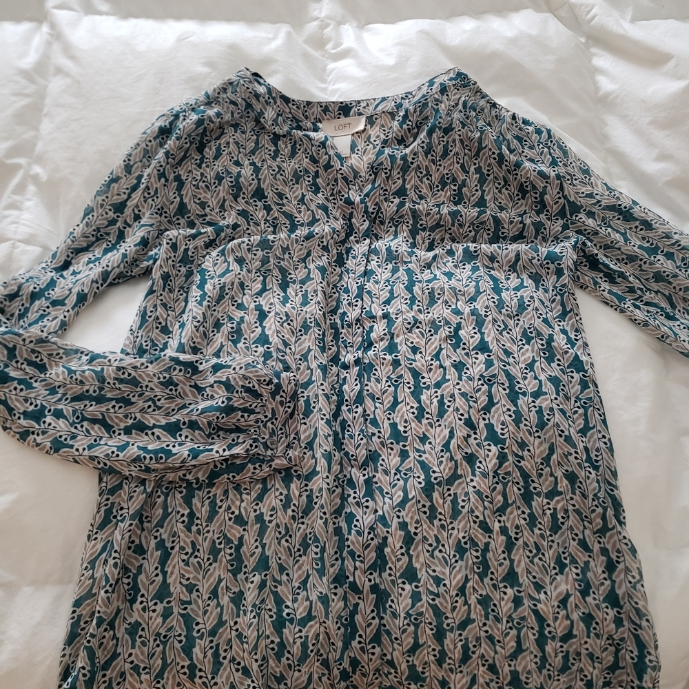 Sheer Blouse